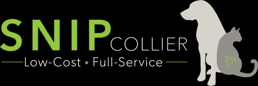 SNIP Collier (opens in a new tab)